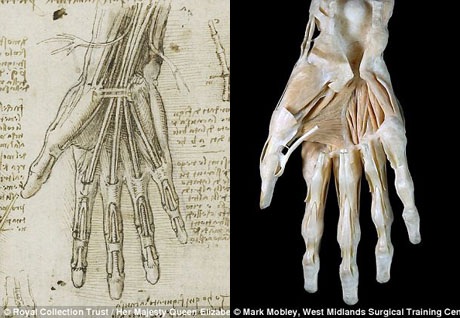 Bức “Quý bà và con chồn”