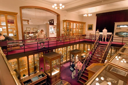 Bảo tàng Mutter nơi trưng bày những
hiện vật liên quan đến giải phẫu và bệnh học.