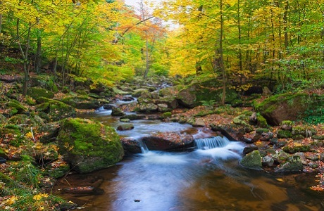 Công viên quốc gia Harz, Đức