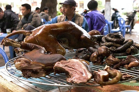 Báo Anh "sửng sốt" trước nghề kinh doanh thịt chó ở Việt Nam - 8 Một cửa hàng bán thịt chó ở Hà Nội.