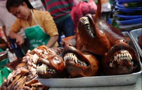 Báo Anh "sửng sốt" trước nghề kinh doanh thịt chó ở Việt Nam - 9 Một cửa hàng bán thịt chó ở Hà Nội.