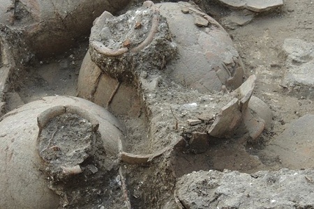 Một số mảnh vò được tìm thấy tại một di chỉ khảo cổ ở miền Bắc Israel