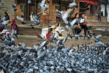 “Thanh bình” - Tác giả Hoàng Thạch Vân (Việt Nam) - Giải Khuyến khích VAPA