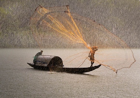 “Bắt cá dưới mưa” - Tác giả Ngô Thanh Bình (Việt Nam) - Huy chương Vàng VAPA