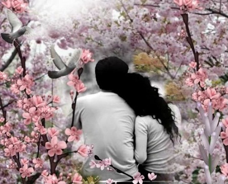 Bức thư của người con xa quê hương gửi Tết - 3 Em yêu ơi,