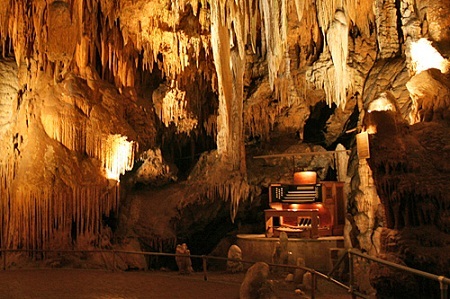 Kinh ngạc trước những nhạc cụ kỳ lạ nhất thế giới - 1 Kinh ngạc trước những nhạc cụ kỳ lạ nhất thế giới