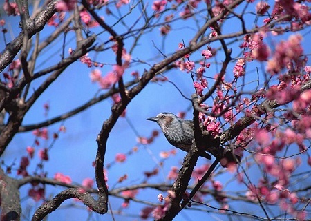 Làm gì đón Tết để có nhiều tài lộc? - 6 Tin vui đầu năm