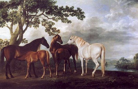 Hình ảnh loài Ngựa dũng mãnh trong hội họa - 11 Bức “Ngựa cái và
ngựa con” do George Stubbs vẽ năm 1763-1768.