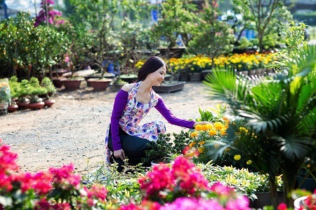 Hoa hậu Trần Thị Quỳnh đẹp kiều diễm giữa vườn hoa xuân - 5 Tin: