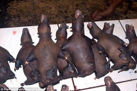 Một mẹt bày bán thịt đã qua sơ chế, có thể thấy ở đây cả những con chuột nướng.