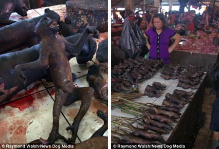 Khỉ nướng (trái) và chuột nướng (phải).