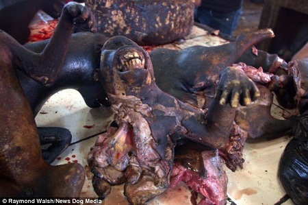 Hình ảnh khu chợ ẩm thực “kinh hoàng” nhất thế giới