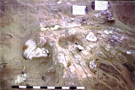 Khám phá phim trường cổ bị chôn trong sa mạc - 5 Khám phá bí mật thành phố Ai Cập cổ chôn trong sa mạc Mỹ