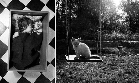 Bên cạnh chùm ảnh đen trắng, Alain Laboile còn chụp cả những bức ảnh màu chân thực và sống động: