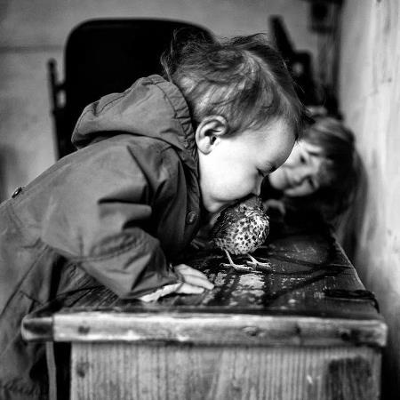 Bên cạnh chùm ảnh đen trắng, Alain Laboile còn chụp cả những bức ảnh màu chân thực và sống động: