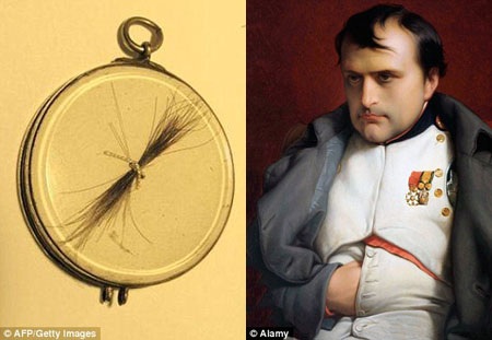 Tóc của Napoleon bị đánh cắp - 1 Một chiếc khung kính đựng một lọn tóc của Hoàng đế Pháp Napoleon Bonaparte đã bị đánh cắp.