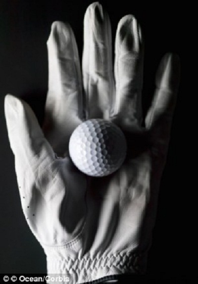 Găng tay bằng da chó được cho là rất mềm và phù hợp để làm găng tay đánh golf.