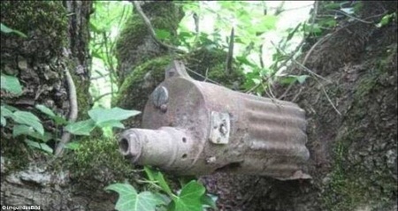 Kỳ lạ khu rừng “găm” vào mình những gì chiến tranh bỏ lại - 2 Một khẩu súng máy đã bị thân cây “nuốt” một nửa.