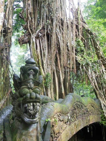 Đôi vợ chồng Mỹ bán nhà để đến... Sapa và những nơi mơ ước - 13 Ở đảo Bali.