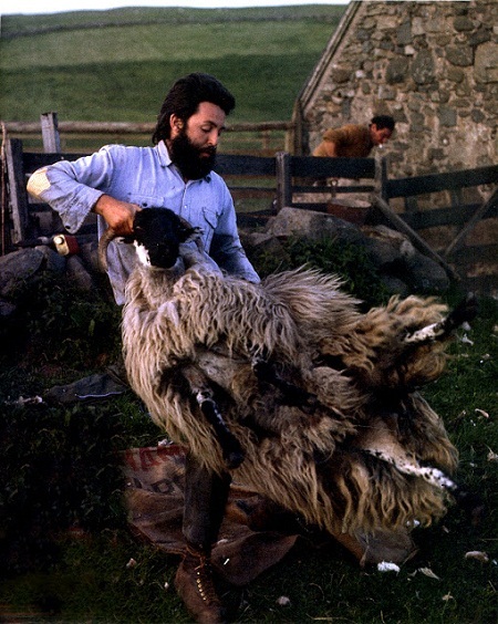 Paul McCartney từng là một nông dân chính hiệu. Ông đã tự tay gieo trồng, chăn nuôi trên nông trại.