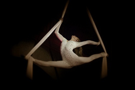 Những vụ tai nạn kinh hoàng trong ngành xiếc