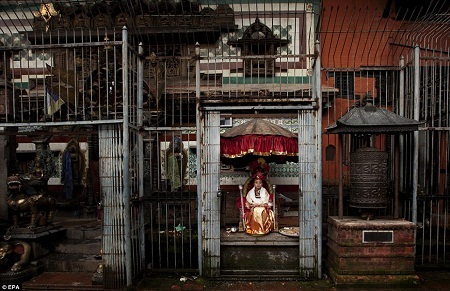 Cuộc sống kỳ lạ của những nữ thần trinh nữ - 3 Samita ngồi trên ngai dành cho nữ thần Kumari.
