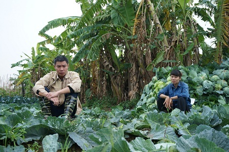 Dàn diễn viên “Táo quân” lần đầu cùng nhau đóng phim