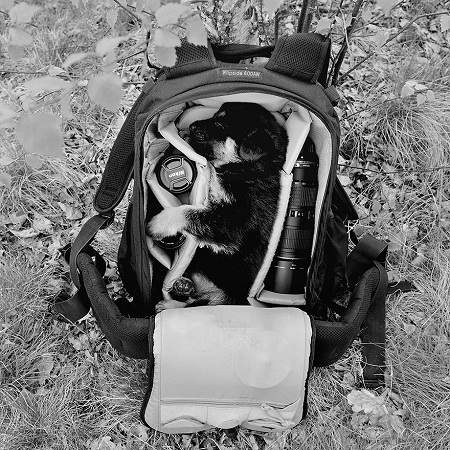 Những bức ảnh gia đình của Sebastian có phần hơi kỳ quái, vừa hài hước vừa lạ lẫm.