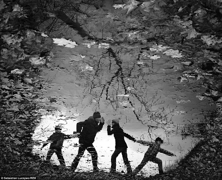 Cô bé Kaya hạnh phúc với sự ra đời của hai chú cún con.