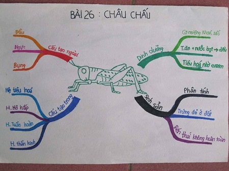 Ví dụ áp dụng phương pháp ghi chú Bản đồ tư duy trong học tập