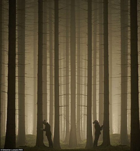 Những bức ảnh gia đình của Sebastian có phần hơi kỳ quái, vừa hài hước vừa lạ lẫm.