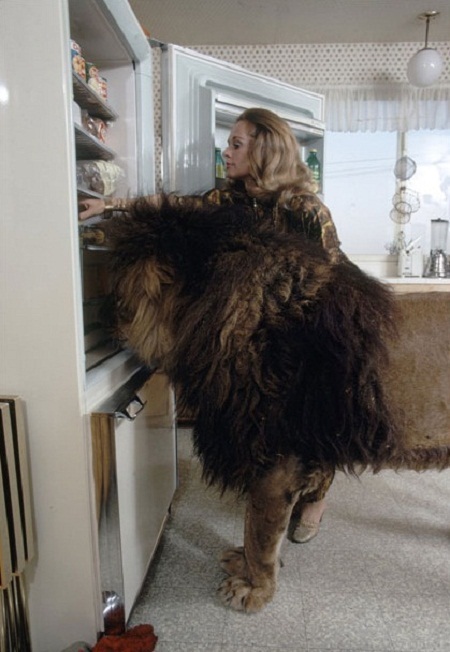 Những khoảnh khắc thân thiết giữa Tippi Hedren và chú sư tử Neil.