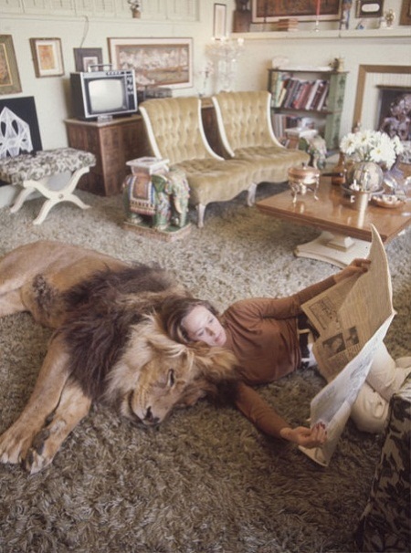 Những khoảnh khắc thân thiết giữa Tippi Hedren và chú sư tử Neil.