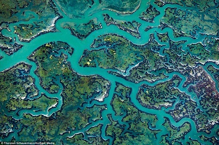 Vẻ đẹp của một khúc sông nằm ở thành phố Santa Cruz, bang California, Mỹ.