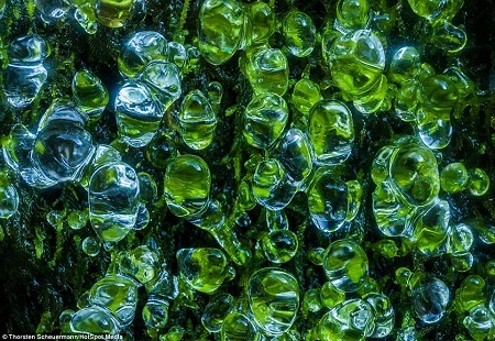 Những bong bóng nước chụp ở hẻm núi sông Columbia, bang Oregon, Mỹ.