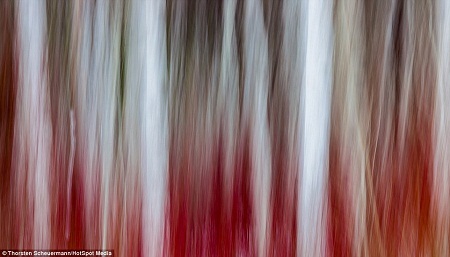 Bề mặt sa mạc Alvord, bang Oregon, Mỹ có một sắc xanh kỳ lạ.