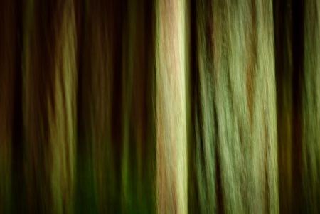 Bề mặt sa mạc Alvord, bang Oregon, Mỹ có một sắc xanh kỳ lạ.