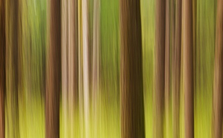 Bề mặt sa mạc Alvord, bang Oregon, Mỹ có một sắc xanh kỳ lạ.