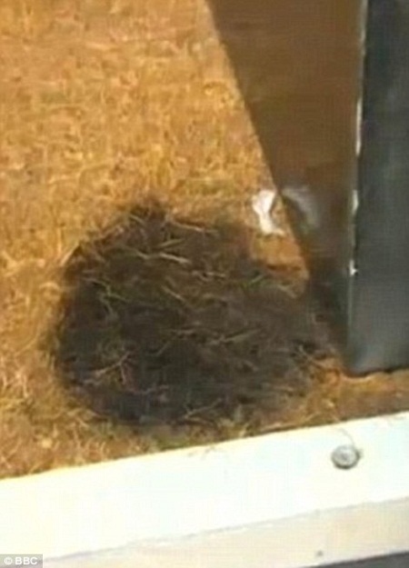 Đá lát bị tung ra khỏi mặt đường và thảm trải sàn bị cháy sém…