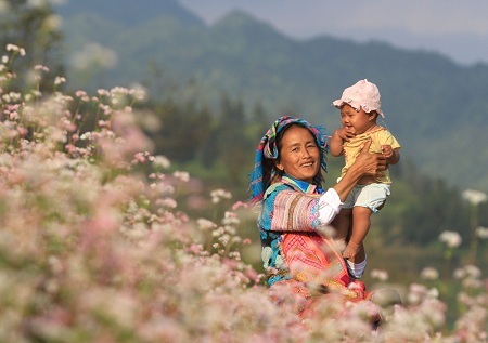 Quyến rũ Hà Giang mùa hoa tam giác mạch - 8 Hạnh phúc bên vườn hoa Tam giác mạch