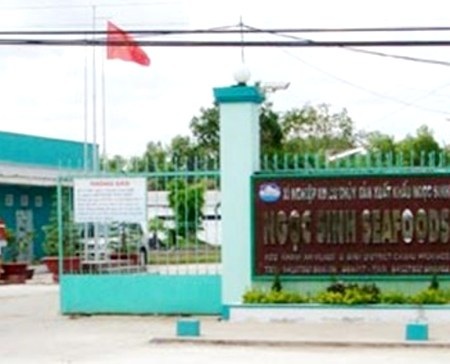 Bắt giám đốc công ty thủy sản lừa đảo hàng trăm tỷ đồng - 1 Trụ sở Công ty Ngọc Sinh tại huyện U Minh, Cà Mau.