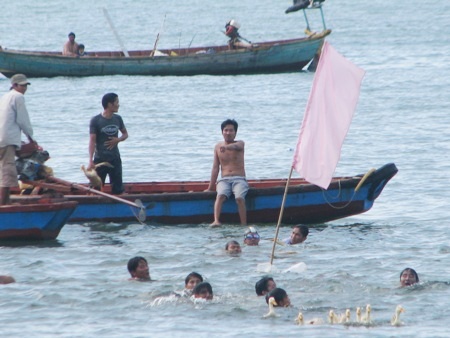 ....cùng tranh nhau bắt vịt.