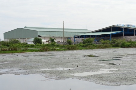 Nguồn nước bị ô nhiễm nhưng chưa được xử lý triệt để.