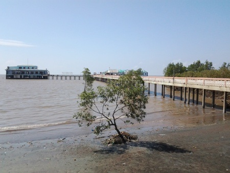 Khách thích thú lên cầu dẫn đi ra biển.