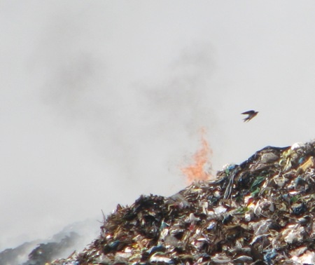 Lửa vẫn còn cháy ngay tại bãi rác vì chưa được cơ quan quản lý xử lý triệt để.