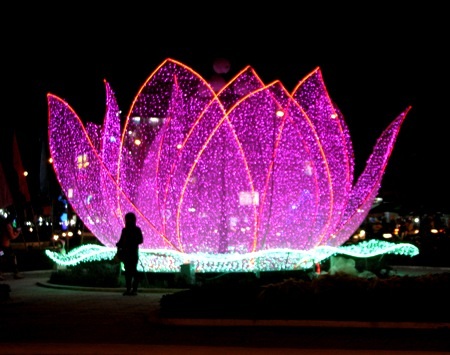 TP Cà Mau rực rỡ đón xuân về.