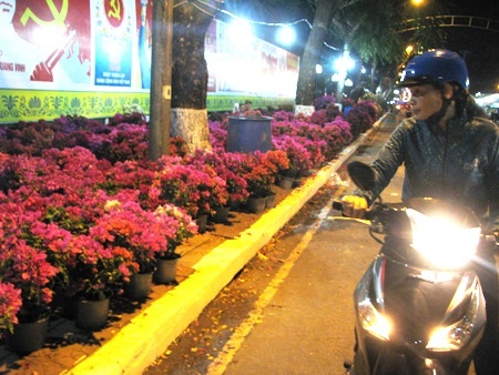 Những gian hàng Tết và chợ hoa sẵn sàng phục vụ người dân.