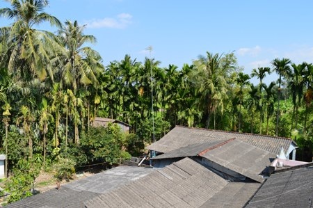 Toàn cảnh vườn cò Tân Long.