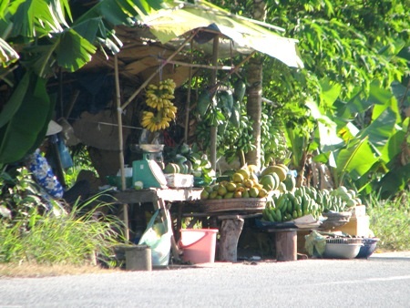 ...để bán cho khách với đủ loại đặc sản là cây nhà lá vườn.