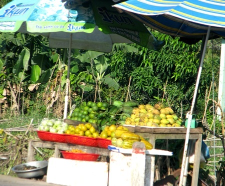 ...để bán cho khách với đủ loại đặc sản là cây nhà lá vườn.